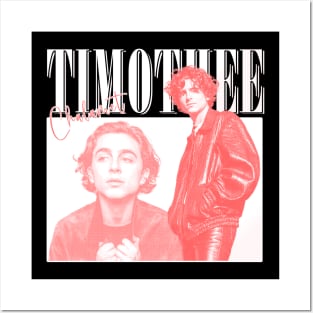 Timothee Chalamet Posters and Art